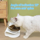 Durable Pet Water & Food Feed Bowls | Non-Slip Design