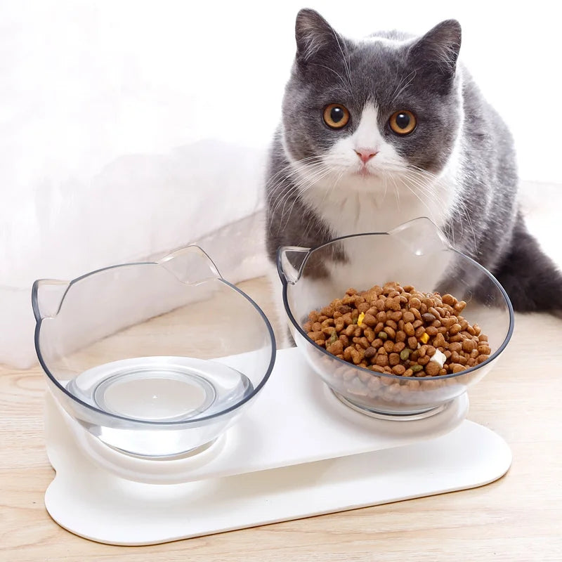 Durable Pet Water & Food Feed Bowls | Non-Slip Design