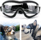 Travel Skiing and Anti-Fog Dog Sunglasses | Protective & Stylish