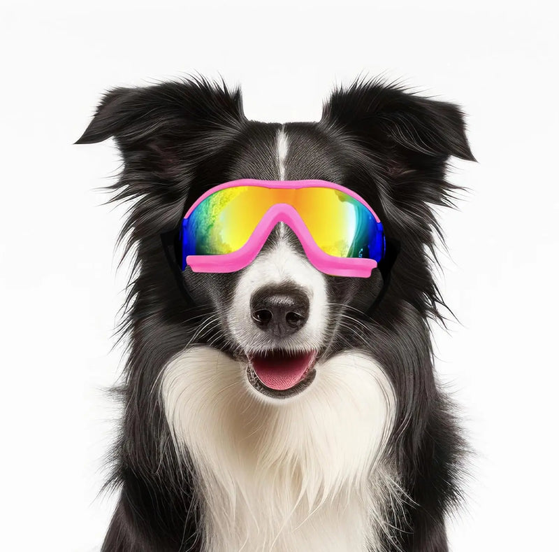 Travel Skiing and Anti-Fog Dog Sunglasses | Protective & Stylish