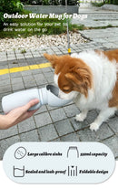 Folding Pet Outdoor Walking Water Bottle | Portable