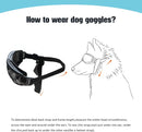 Travel Skiing and Anti-Fog Dog Sunglasses | Protective & Stylish